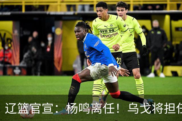 辽篮官宣：杨鸣离任！乌戈将担任辽宁男篮主帅